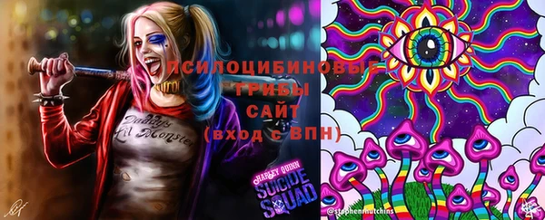трава Балахна