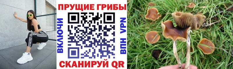 Галлюциногенные грибы ЛСД  блэк спрут маркетплейс  Сортавала  цены  